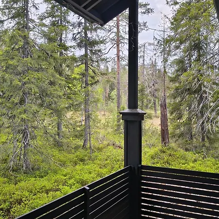 Aihki Pine Cottage, Syöte